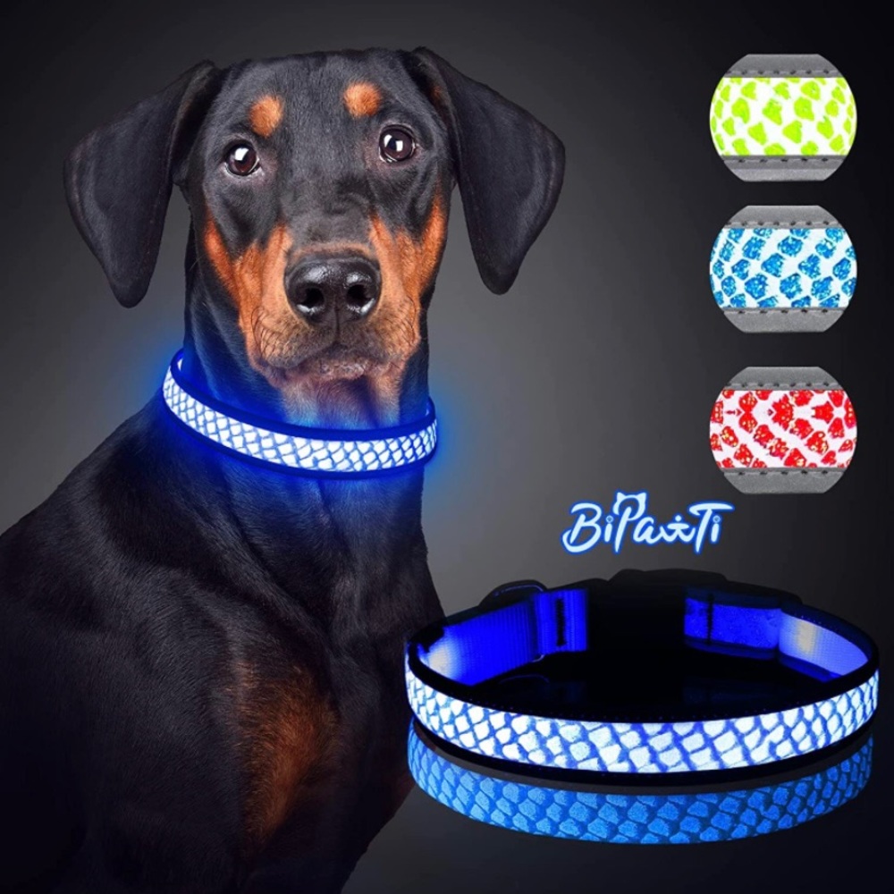 LED Dog Collar